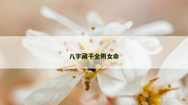 八字藏干全阴女命