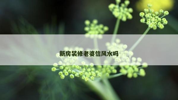 新房装修老婆信风水吗