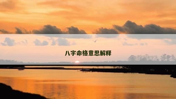 八字命格意思解释