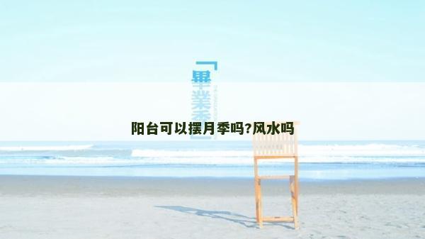 阳台可以摆月季吗?风水吗