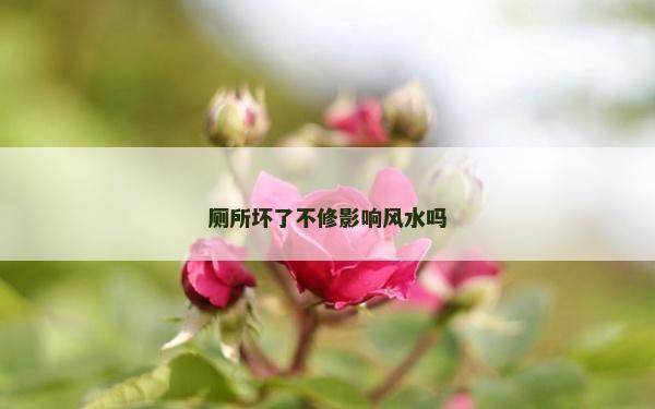 厕所坏了不修影响风水吗