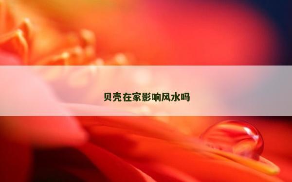 贝壳在家影响风水吗