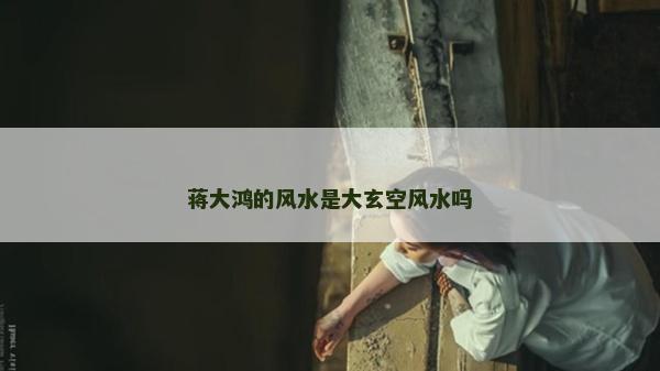 蒋大鸿的风水是大玄空风水吗