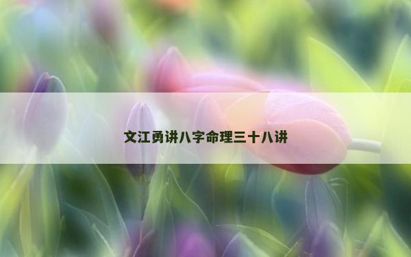 文江勇讲八字命理三十八讲