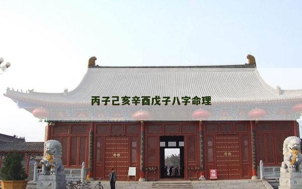 丙子己亥辛酉戊子八字命理