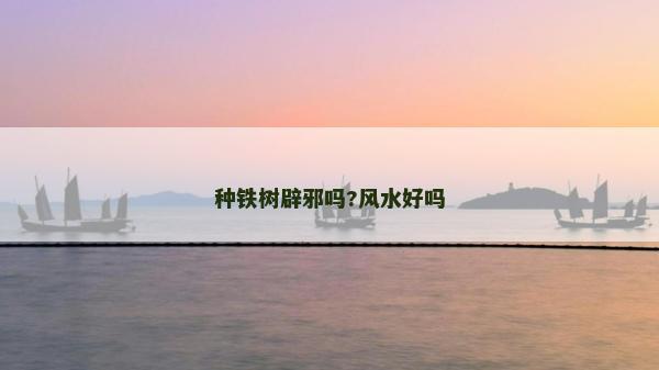 种铁树辟邪吗?风水好吗