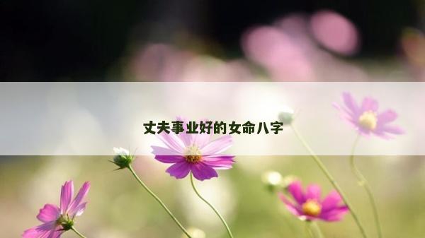 丈夫事业好的女命八字