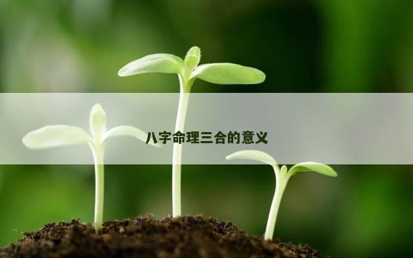 八字命理三合的意义