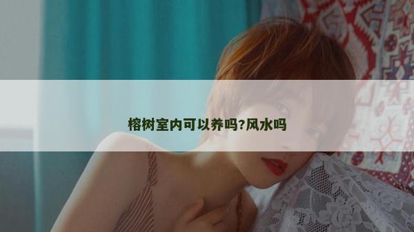 榕树室内可以养吗?风水吗