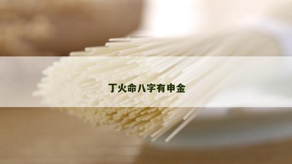 丁火命八字有申金