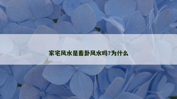 家宅风水是畜卦风水吗?为什么