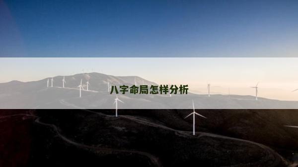 八字命局怎样分析
