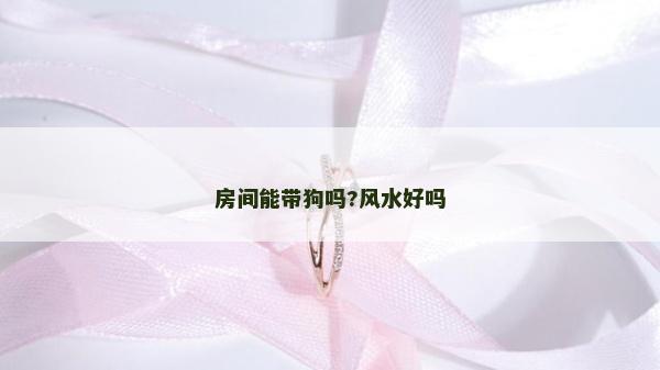 房间能带狗吗?风水好吗