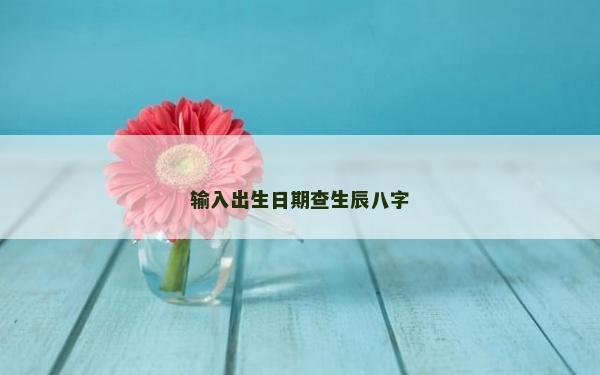 输入出生日期查生辰八字