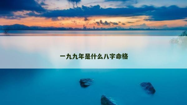 一九九年是什么八字命格
