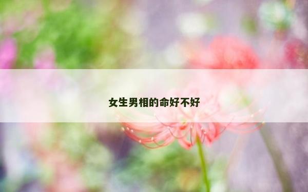 女生男相的命好不好