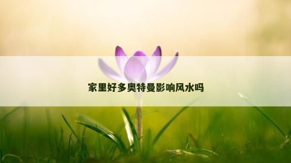 家里好多奥特曼影响风水吗