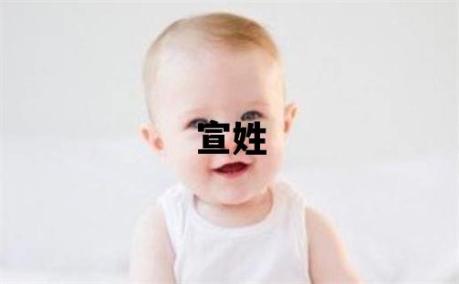 宣姓有灵气的男孩名字