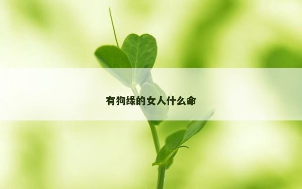 有狗缘的女人什么命