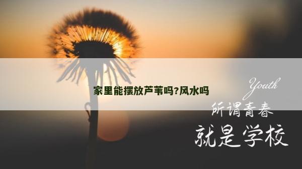 家里能摆放芦苇吗?风水吗