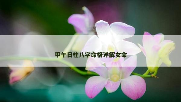 甲午日柱八字命格详解女命