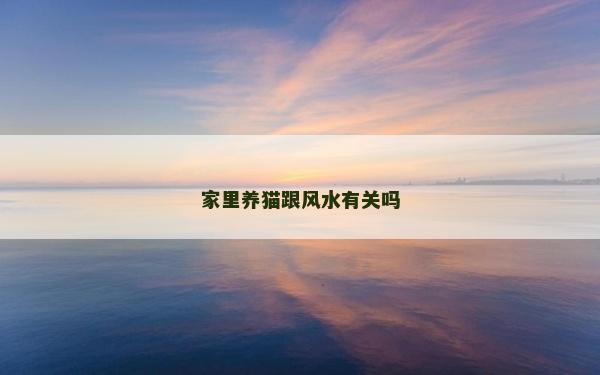 家里养猫跟风水有关吗