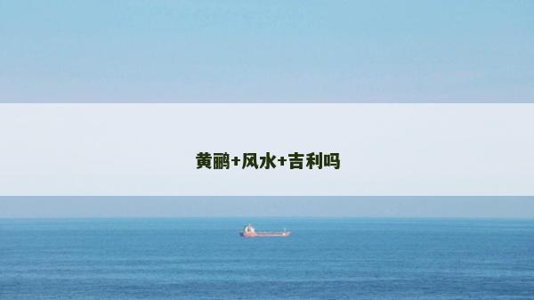 黄鹂+风水+吉利吗