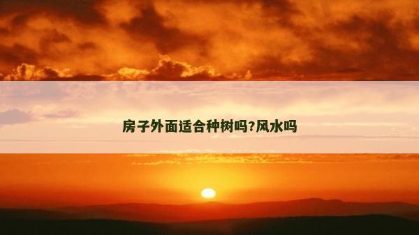 房子外面适合种树吗?风水吗