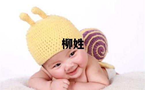 柳姓有智慧才气的女孩名字,取什么名字好