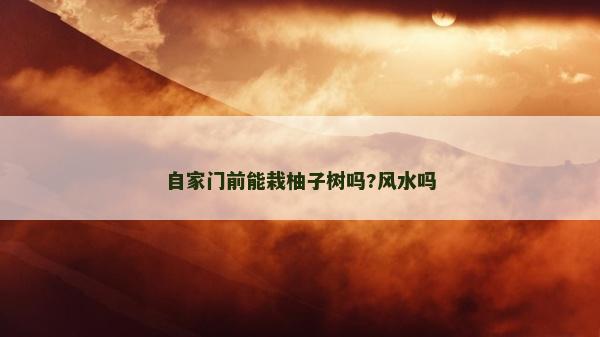 自家门前能栽柚子树吗?风水吗