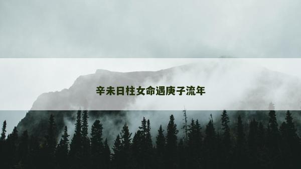 辛未日柱女命遇庚子流年