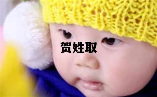 贺姓取名优美的男宝宝名字