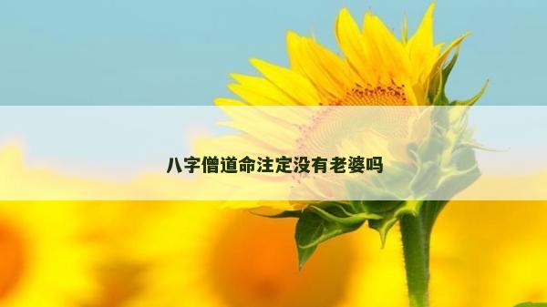 八字僧道命注定没有老婆吗