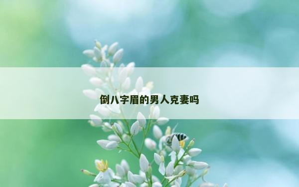 倒八字眉的男人克妻吗