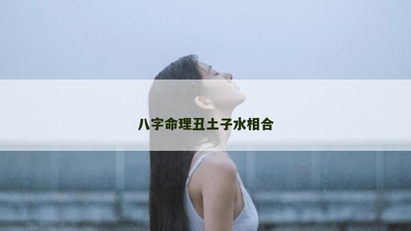 八字命理丑土子水相合
