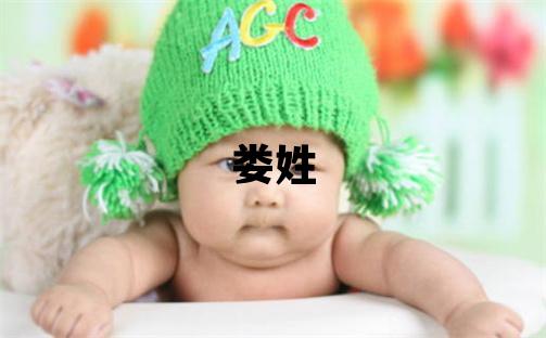 娄姓独特优美的男孩名字,取什么名字好