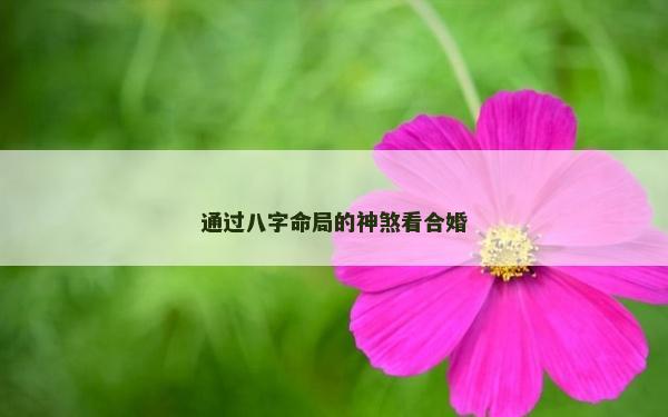 通过八字命局的神煞看合婚
