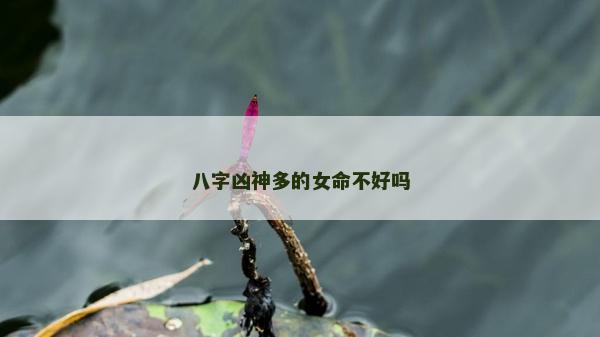 八字凶神多的女命不好吗