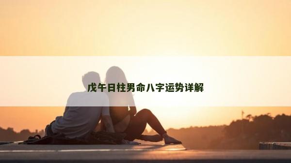 戊午日柱男命八字运势详解