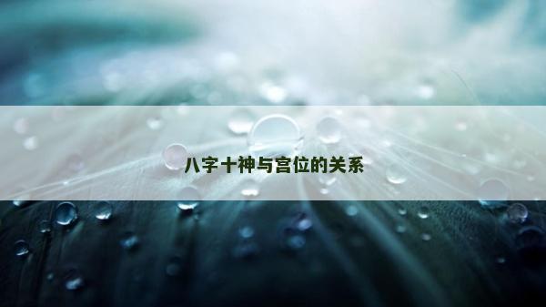 八字十神与宫位的关系