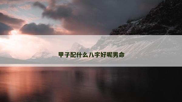 甲子配什么八字好呢男命