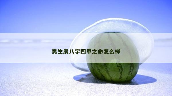 男生辰八字四甲之命怎么样