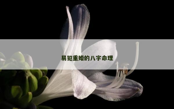 易犯重婚的八字命理