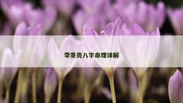 李景亮八字命理详解