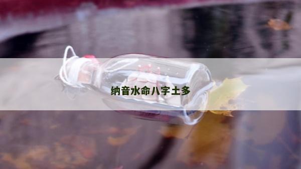 纳音水命八字土多