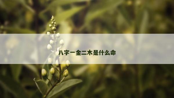八字一金二木是什么命