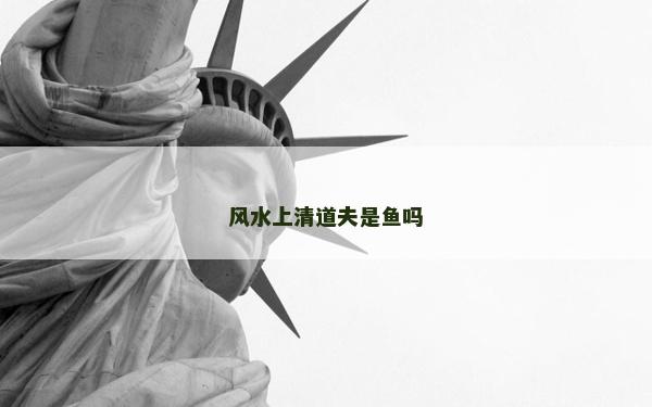 风水上清道夫是鱼吗