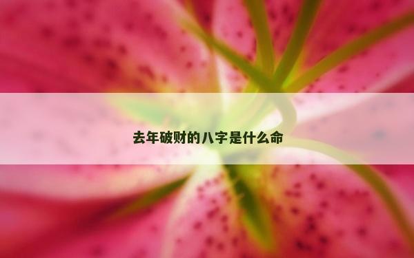 去年破财的八字是什么命