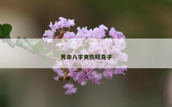 男命八字食伤旺克子