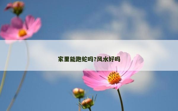 家里能跑蛇吗?风水好吗